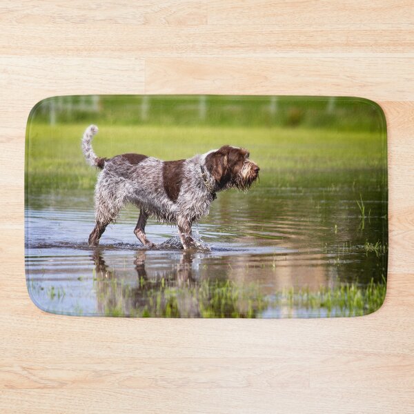 Item preview, Wading through a pool Spinone by heidiannemorris designed and sold by FOLK ART FUSION by heidiannemorris.