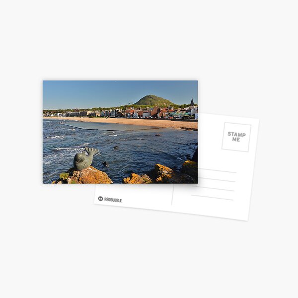 Seal on rock at North Berwick Seabird Centre, East Lothian, Scotland Postcard