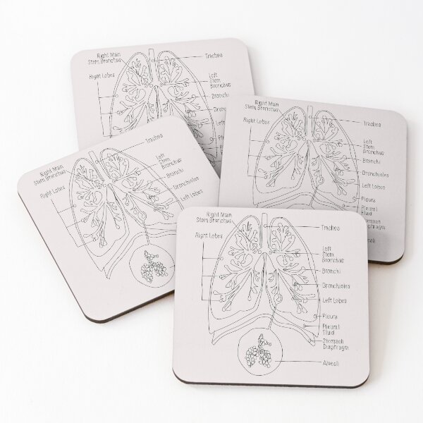 Item preview, The Lungs - Speech Anatomy designed and sold by Anika J.
