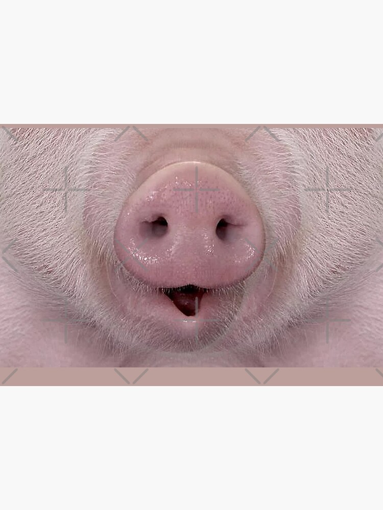 "CREATIVE MASK 047 pig nose" Mask for Sale by RaduGabriel Redbubble