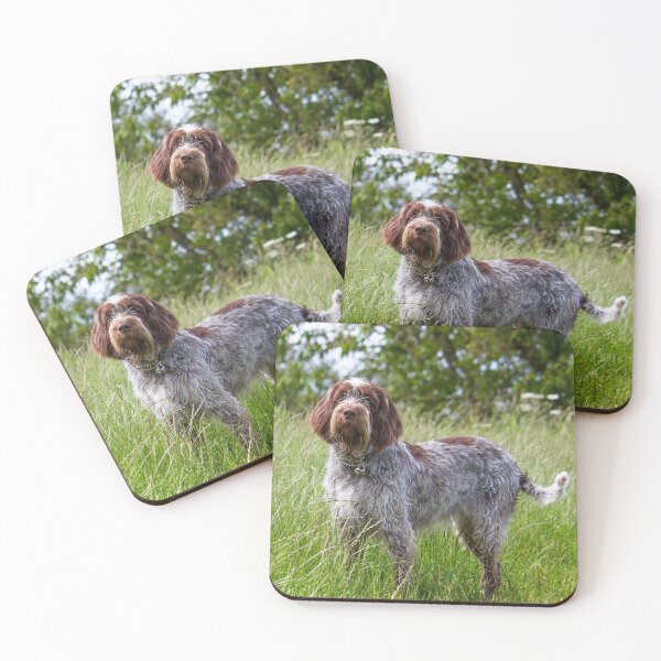 Item preview, Standing in a meadow Spinone designed and sold by FOLK ART FUSION by heidiannemorris.