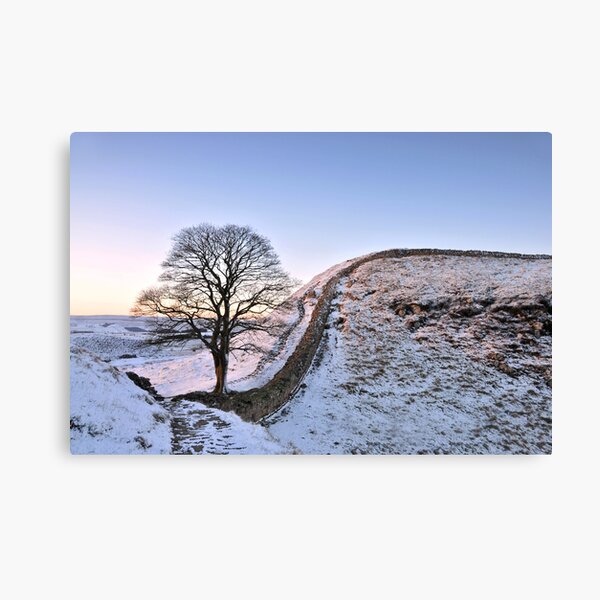 Item preview, Frosty morning at Sycamore Gap on Hadrian's Wall designed and sold by Joan Thirlaway.