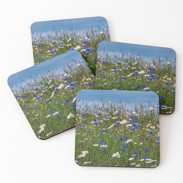 Artikelvorschau, Summer meadow of flowers entworfen und verkauft von iCimages.net.