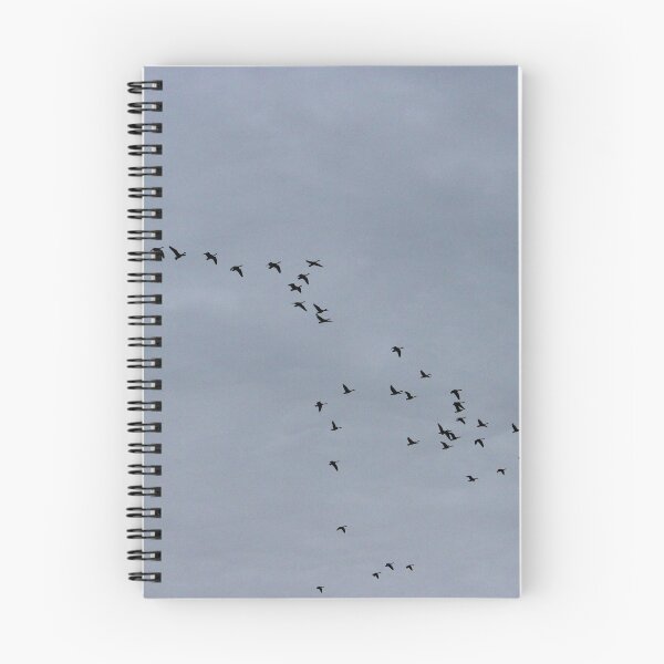 Item preview, Flying Geese designed and sold by Susie Kramer.