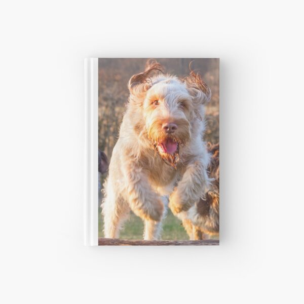 Joyful jumping a log Spinone Hardcover Journal