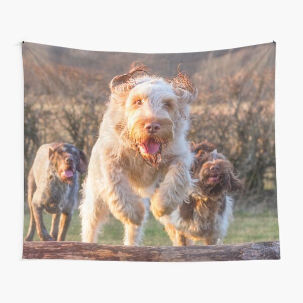 Joyful jumping a log Spinone Tapestry