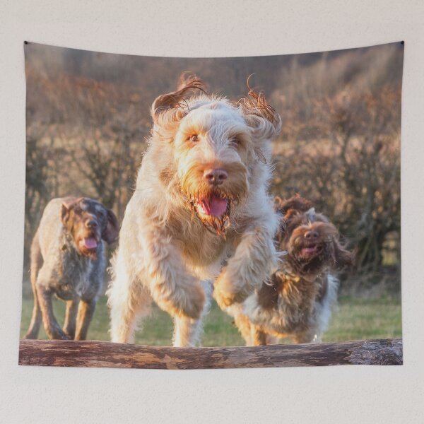Item preview, Joyful jumping a log Spinone by heidiannemorris designed and sold by FOLK ART FUSION by heidiannemorris.