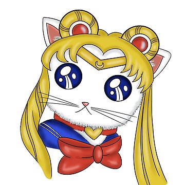 ʿ❁ kaee ˎ -  Sailor moon cat, Instagram cartoon, Cute cartoon