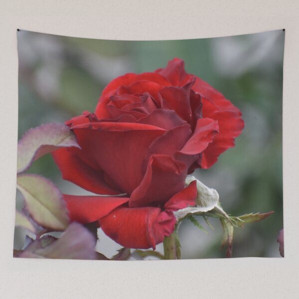 Item preview, Elegant Red Rose designed and sold by ReneeKennedy.