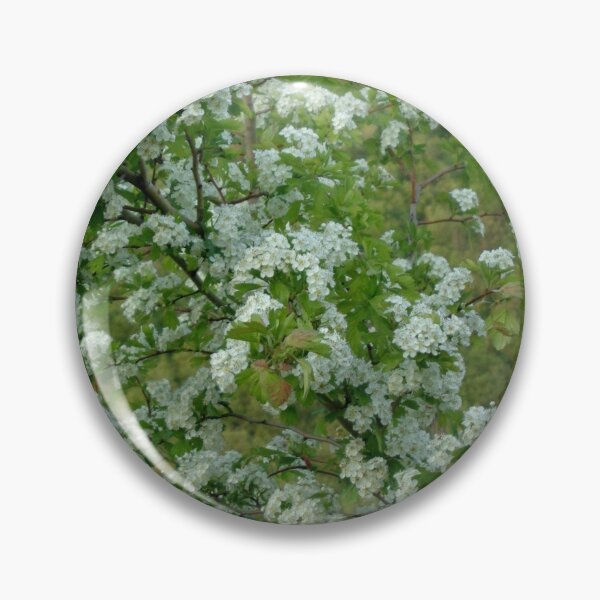 Item preview, Hawthorn tree blossomed designed and sold by Ana Belaj.