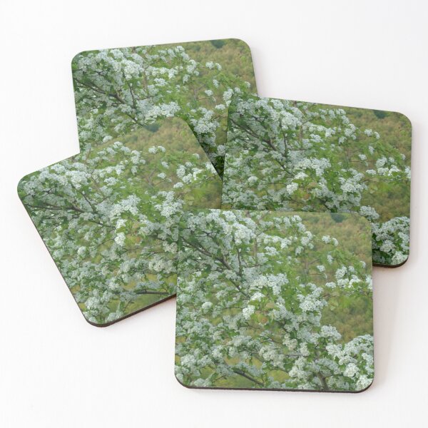 Item preview, Hawthorn tree blossomed designed and sold by Ana Belaj.