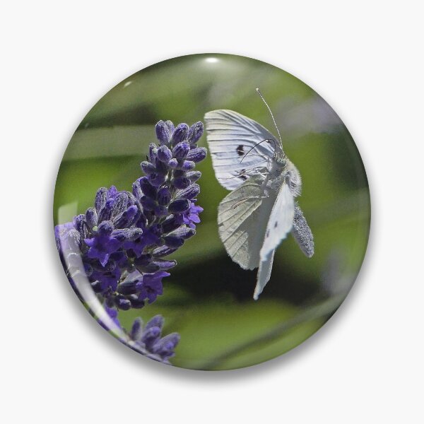 Item preview, Love Papillons - Butterfly 20 (h) Okaio Création Panasonic fz 1000 510.000 photos 2016 designed and sold by o.okaïo.