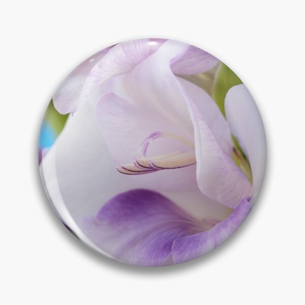 Item preview, Gladiolus  'Condor Pasa'  Sword lily  designed and sold by Chris Burrows.