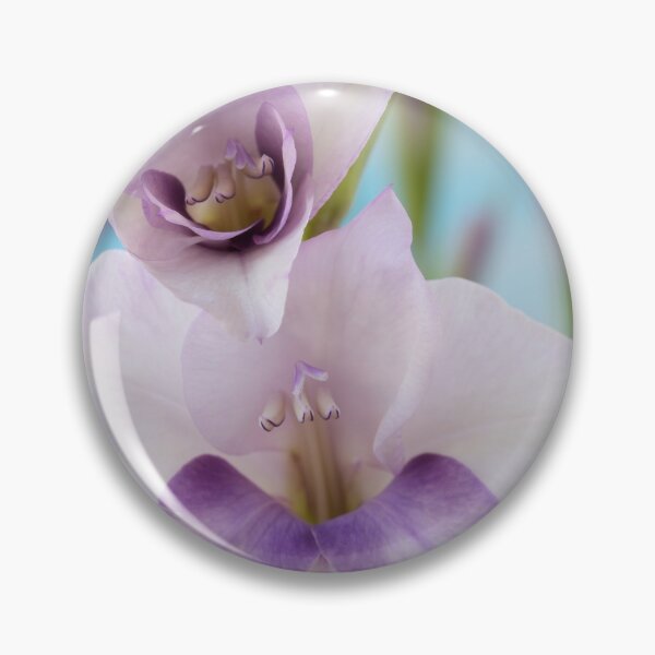 Item preview, Gladiolus  'Condor Pasa'  Sword lily  designed and sold by Chris Burrows.
