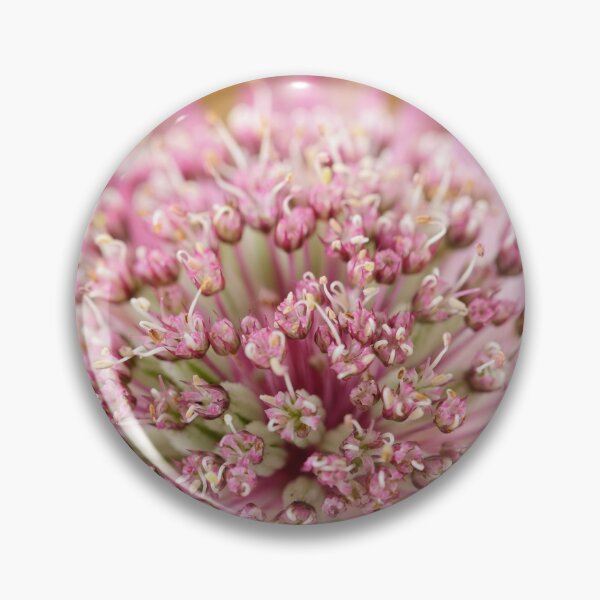 Item preview, Astrantia major  Greater masterwort designed and sold by Chris Burrows.