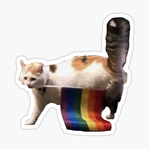 Cursed Sad and Gay Cat! Sticker