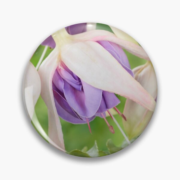Item preview, Fuchsia  'Quasar'   designed and sold by Chris Burrows.