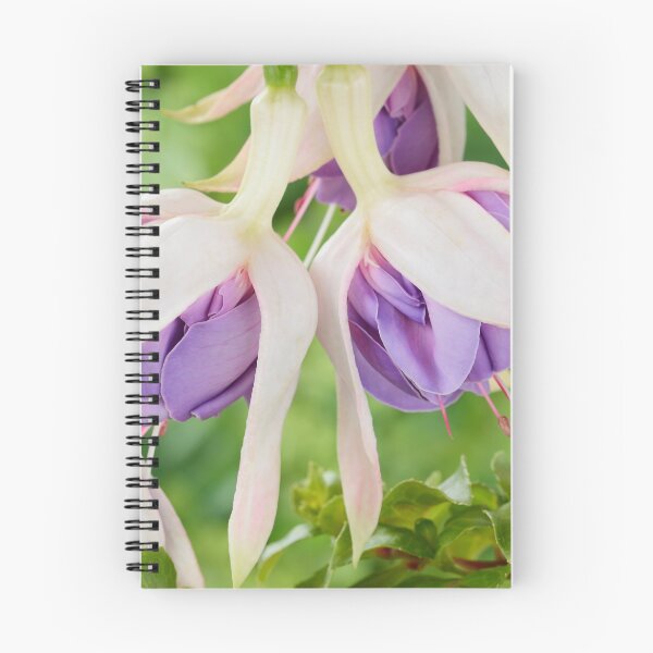 Item preview, Fuchsia  'Quasar'   designed and sold by Chris Burrows.