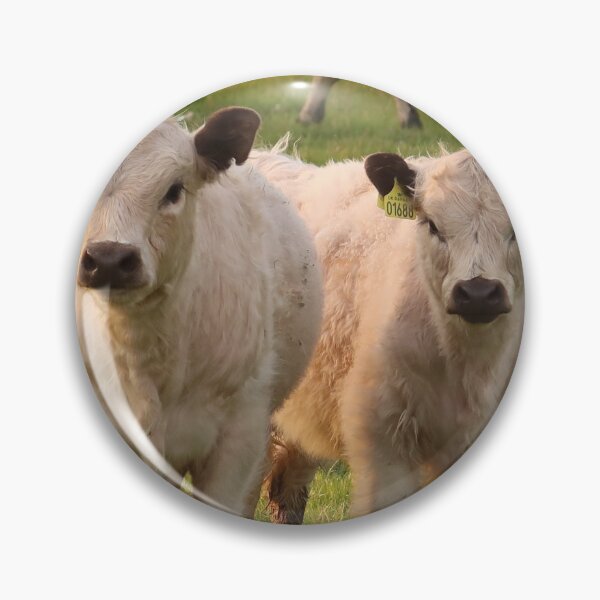Item preview, Sweet friendly curious cows designed and sold by Trine.