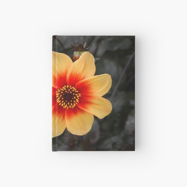 Flowers II Hardcover Journal