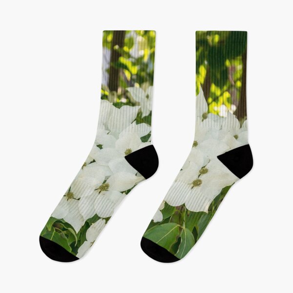 Item preview, Because Spring - Dogwoods Blooms   designed and sold by Georgia Mizuleva.