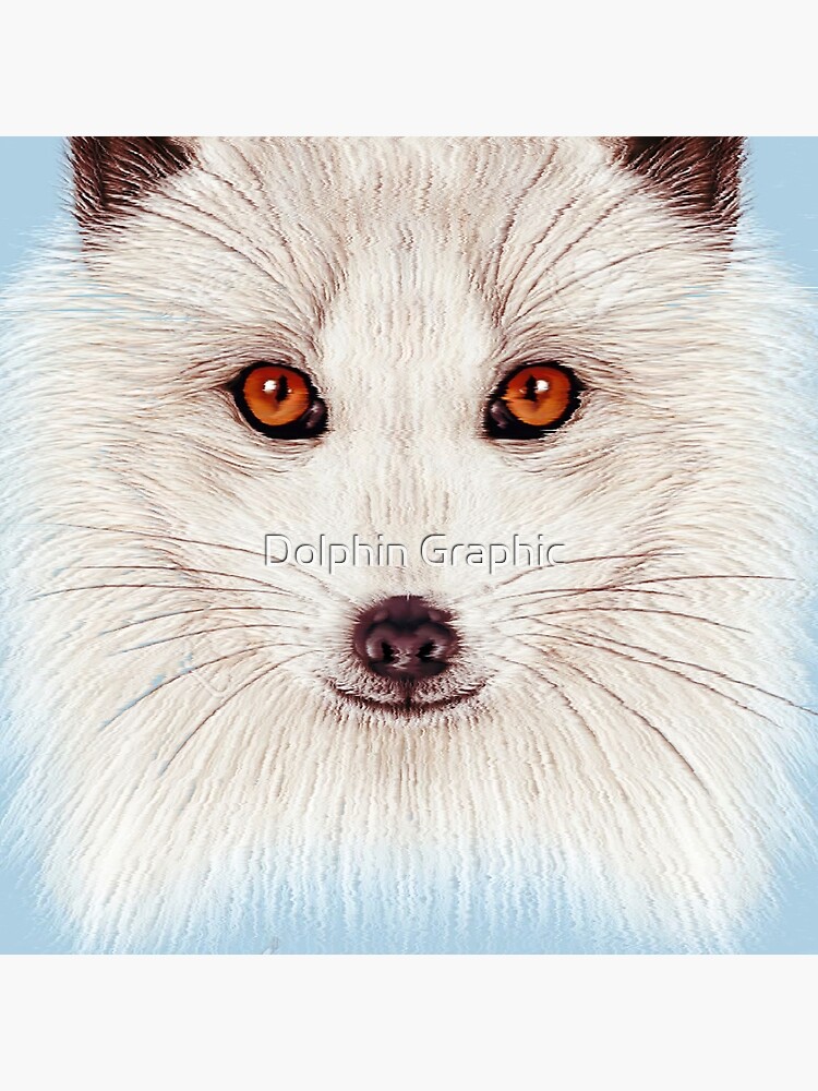 Arctic fox Cute wild Animals Gifts Art Board Print for Sale by Dolphin  Graphic