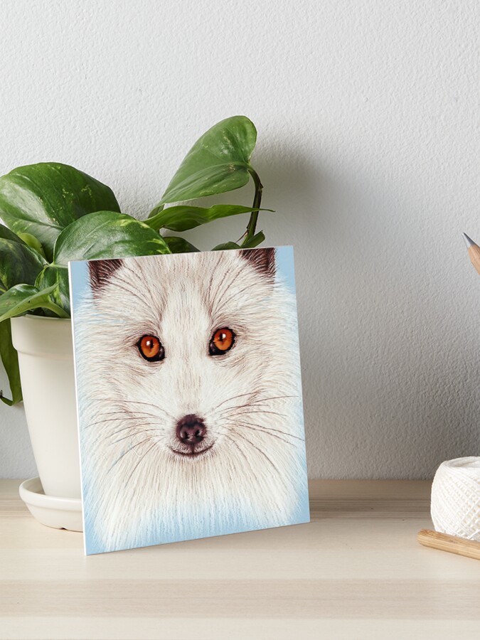 Arctic fox Cute wild Animals Gifts Art Board Print for Sale by Dolphin  Graphic