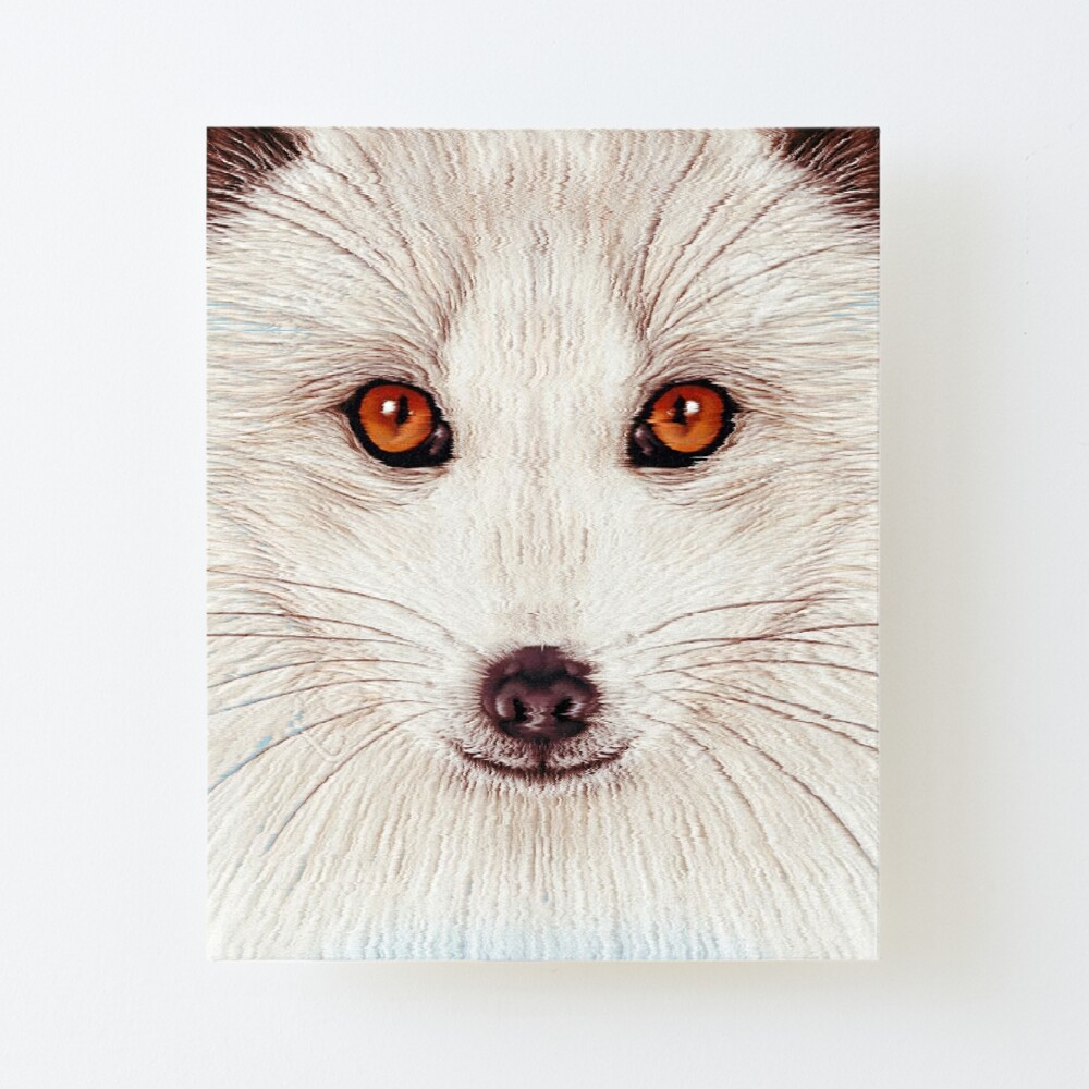 Arctic fox Cute wild Animals Gifts Art Board Print for Sale by