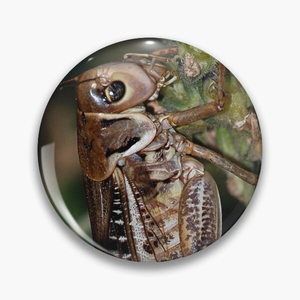 Item preview, Locust Camourflaged With Garden Background designed and sold by taiche.