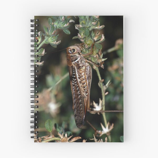 Item preview, Locust Camourflaged With Garden Background designed and sold by taiche.