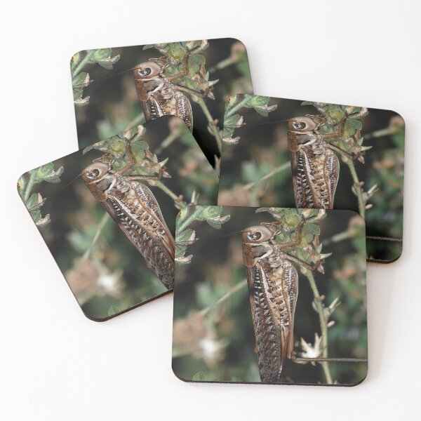 Item preview, Locust Camourflaged With Garden Background designed and sold by taiche.