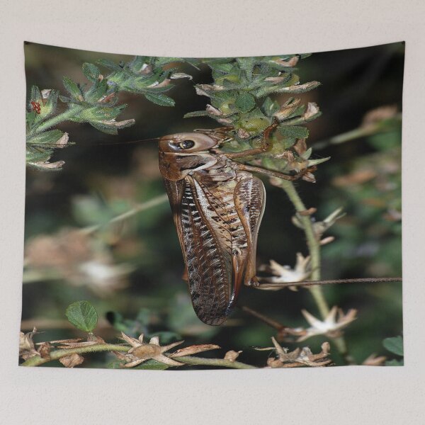 Item preview, Locust Camourflaged With Garden Background designed and sold by taiche.