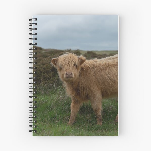 Item preview, Baby Highland Cow designed and sold by rawshutterbug.