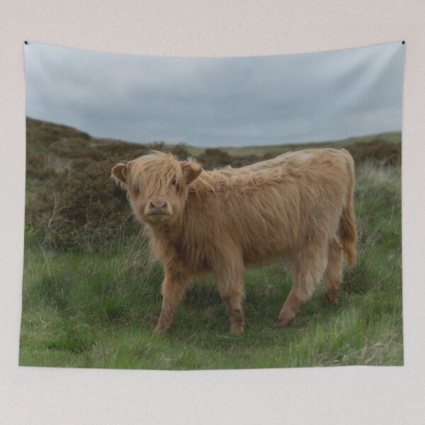 Item preview, Baby Highland Cow designed and sold by rawshutterbug.