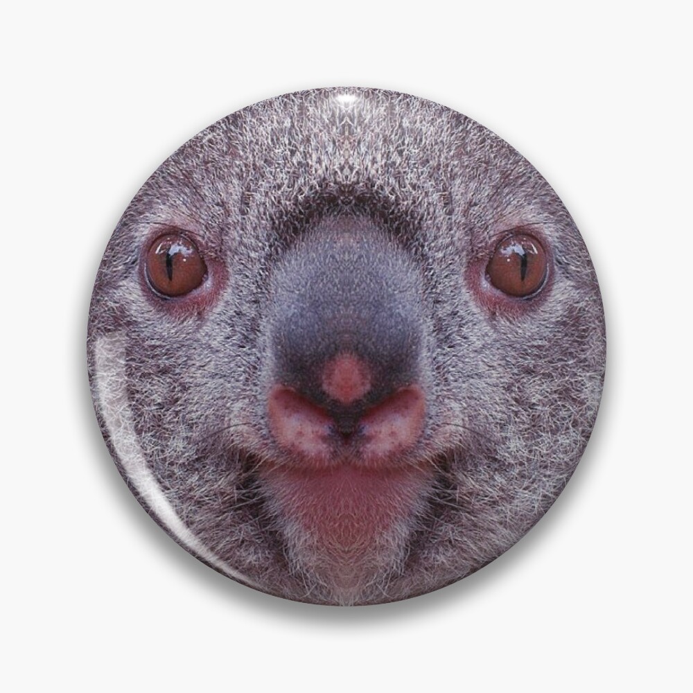 Koala Bear Fun Face Cute wild Animals Gifts Art Board Print for Sale by  Dolphin Graphic