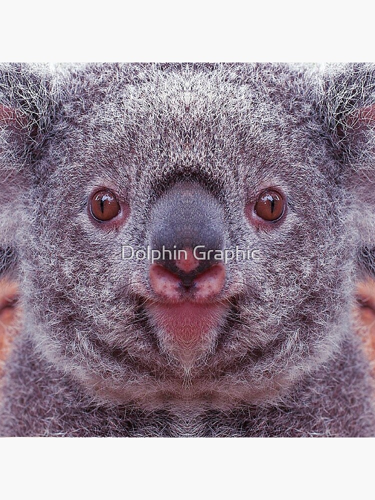 Koala Bear Fun Face Cute wild Animals Gifts Art Board Print for Sale by  Dolphin Graphic
