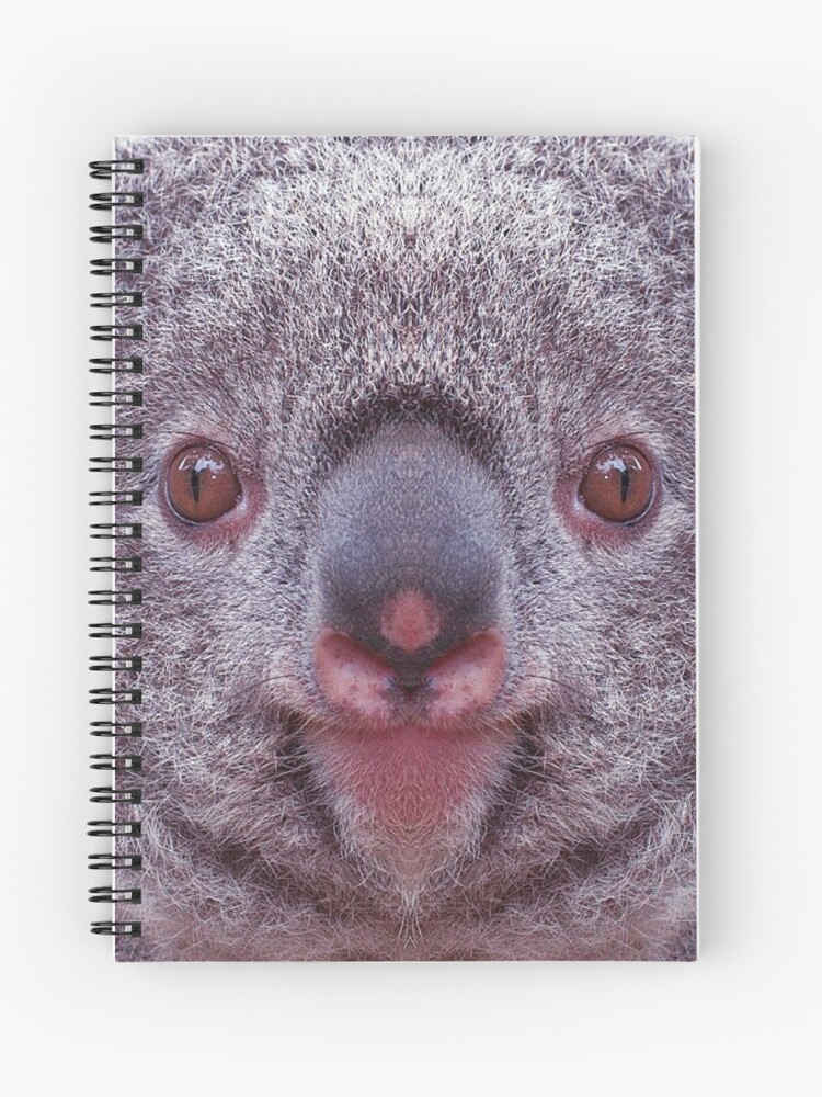 Sleeping Baby Koala: College Ruled Notebook | Cute Koala Sleeping Notebook  | Koala Bear Notebook | Gifts For Teens Girls