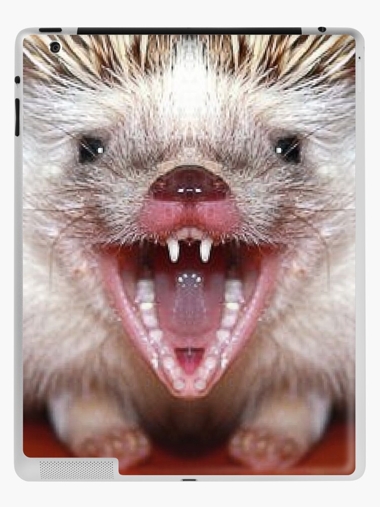 Hedgehog angry Cute wild Animals Gifts Hedgehog angry Cute wild Animals Gifts