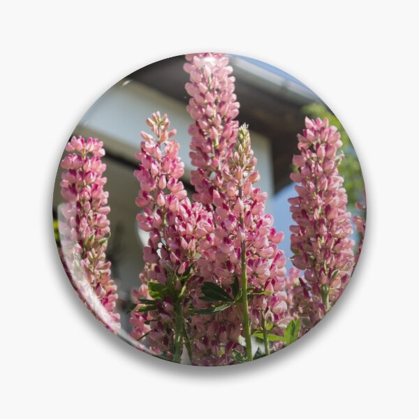Item preview, Pink Lupines -  designed and sold by Georgia Mizuleva.