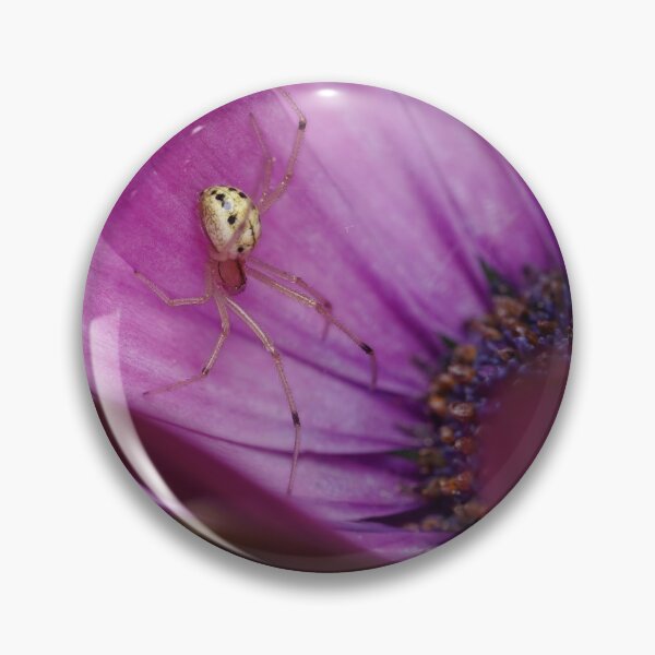 Item preview, Spider in a flower designed and sold by SorryToBugYou.
