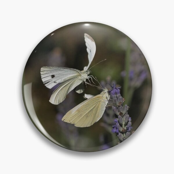 Item preview, Love  Papillons - Butterfly  16 (t)  Okaio Création  Panasonic fz 1000   510.000 photos 2016 designed and sold by o.okaïo.