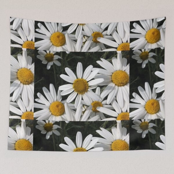 Item preview, Shasta Daisy designed and sold by pinkal.