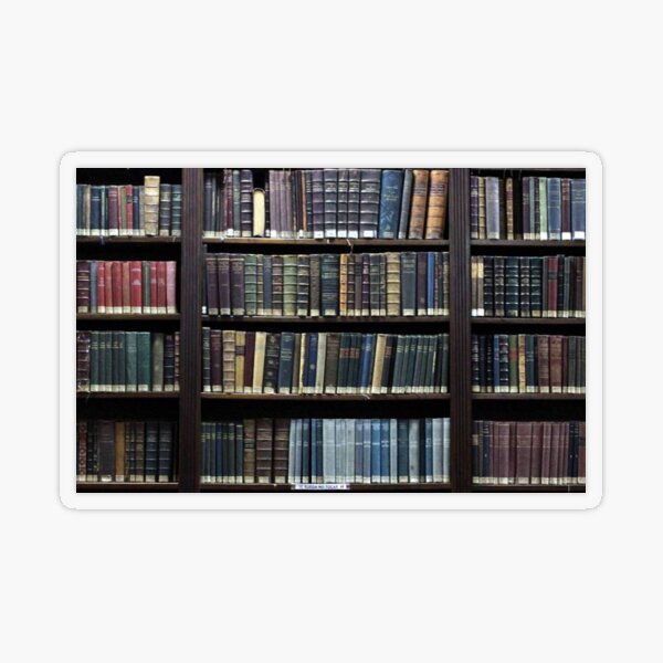 Book Lovers Gifts - Books On Bookshelf Gift Ideas for Avid Readers &  Librarians - For Women & Men Who Are Always Reading Art Board Print for  Sale by merkraht