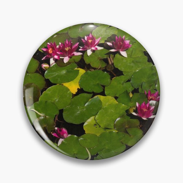 Item preview, Vivid Fuchsia Waterlilies - a Mediterranean Delight from Barcelona designed and sold by Georgia Mizuleva.