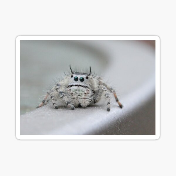 Item preview, I am watching you! designed and sold by Sheryl Hopkins.