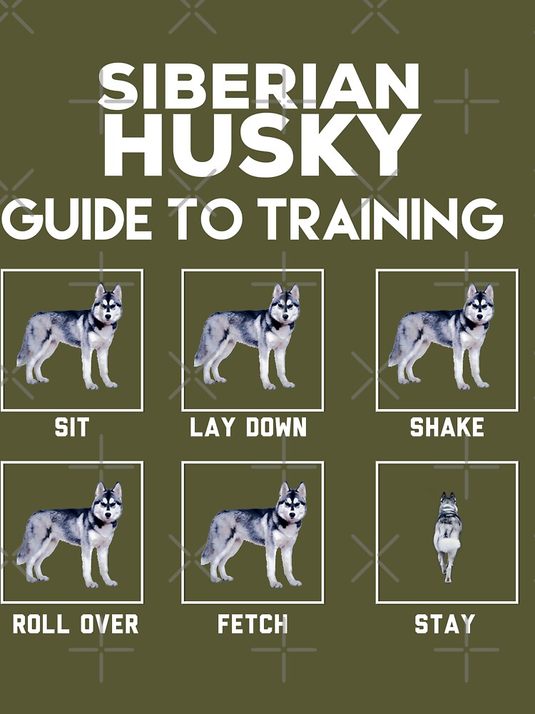 Siberian husky training sales guide