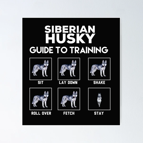 Husky store training guide