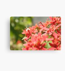 White Individual Canvas Print