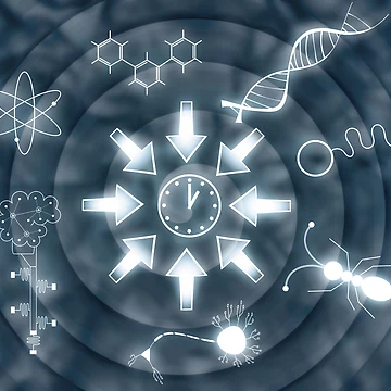 Artwork thumbnail, Evolution by GiroScience