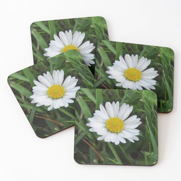 Item preview, yesterday's daisy designed and sold by joshuarainbird.